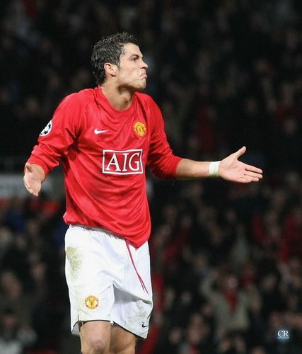 它本来的活 它本来的活